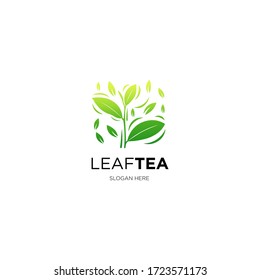 modern green leaf tea logo vector