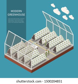 Modern greenhouse complex isometric concept with hydroponics and aeroponics symbols vector illustration