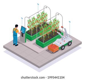 Modern greenhouse isometric and colored concept worker synchronizes smart equipment to harvest vector illustration