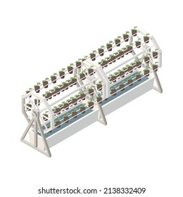 Modern greenhouse vertical farming isometric composition with isolated image of cylinder racks with growing plants vector illustration