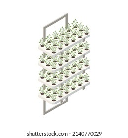 Modern greenhouse vertical farming isometric composition with isolated image of growing plants on frame vector illustration