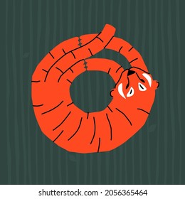 Modern greeting card with Chinese new year 2022 symbol. The tiger is curled up in a ball.