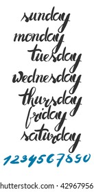 Modern hand drawn calligraphic font. Numbers and week days. Vector illustration