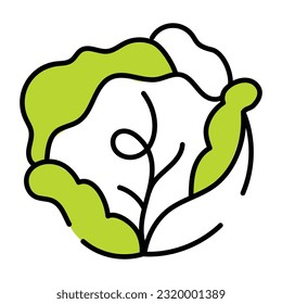 Modern hand drawn icon of cabbage