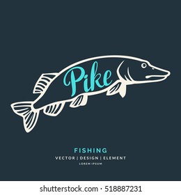 Modern hand drawn lettering word Pike. Calligraphy brush and ink. Vector illustration Fish