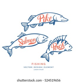 Modern hand drawn lettering word Perch, salmon and pike. Calligraphy brush and ink. Vector illustration Fish