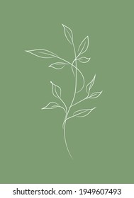 Ilustración vectorial moderna dibujada a mano. Dibujo de líneas de flores ilustradas