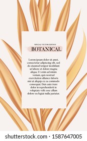 Modern hand-drawn psatel palm tree leaves, nature card with floral elements for packaging and decoration of cosmetic products, beauty salons and spa, advertising, posters, holiday greeting
