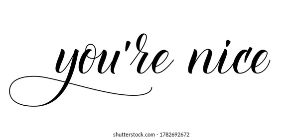 Modern handwritten brush calligraphy You are Nice. Vector illustration.