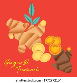 Modern herbal tea mix turmeric ginger geometric vector graphic shape illustration typography 