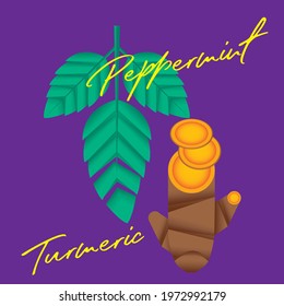 Modern herbal tea mix turmeric peppermint geometric vector graphic shape illustration typography 
