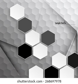 Modern Hexagon Design Background Stock Vector (Royalty Free) 268697978 ...