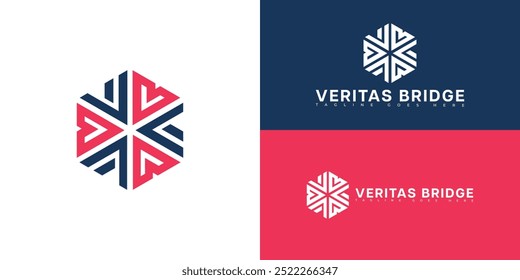 Modern hexagon initial vector letter VB or BV logo in blue-red color isolated on multiple background colors. The logo is suitable for business and consulting company logo design inspiration templates.