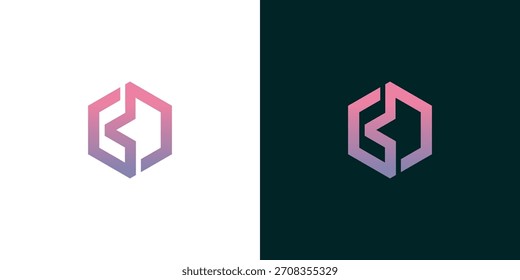 Modern Hexagon Logo Design Elegant Branding for Business and Technology on a Light and Dark Background