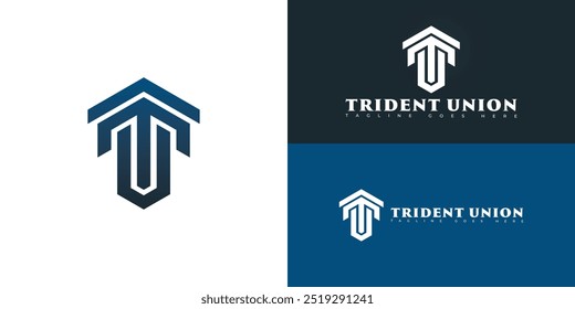 Modern hexagon vector initial letter TU or UT logo in blue color isolated on black background colors. The logo is suitable for property developer logo design inspiration templates.