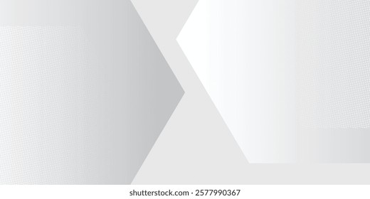 Modern hexagon white and gray background with dot white gray wave light art simple modern design
