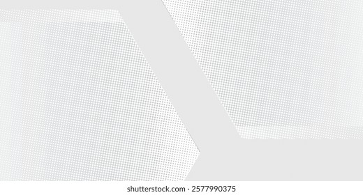 Modern hexagon white and gray background with dot white gray wave light art simple