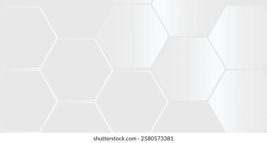 Modern hexagon white and gray background. smooth abstract background blurred pattern abstract simple design