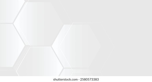 Modern hexagon white and gray background. smooth abstract background blurred pattern abstract simple
