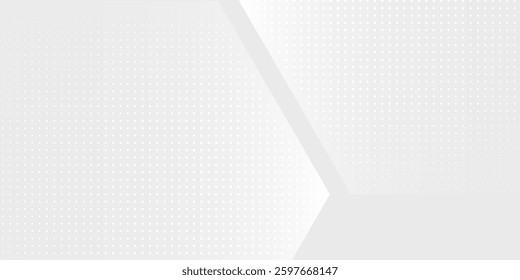 Modern hexagon white and gray background with dot white gray wave light technology abstract