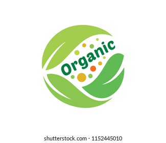 Modern High Quality Green Healthy Organic Product Logo Illustration In Isolated White Background