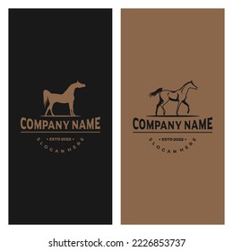 Modern Horse Logo Design Set