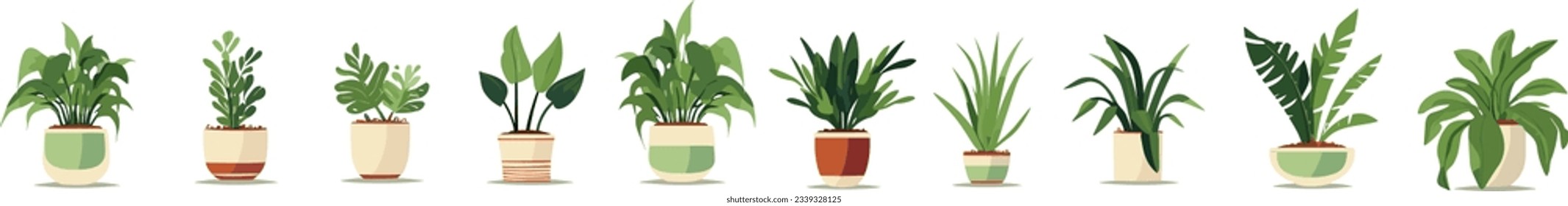 Plantas de casa modernas en diferentes macetas de arcilla y plantadores. Ilustración vectorial del jardín doméstico.