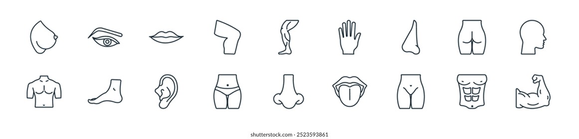 modern human body parts icon pack. perfect for linear ui designs featuring vector arm, chest, hip, tongue, e, female body, ear and more icons for mobile and web apps.