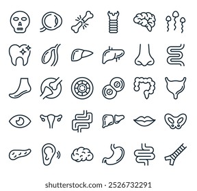 modern human organs icon pack. perfect for linear ui designs featuring vector thyroid gland, intestine, stoh, human brain, ear and more icons.