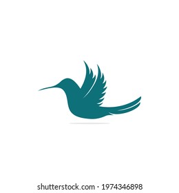 Modern Hummingbird design vector illustration, Creative Hummingbird logo template, icon symbol with white background.