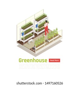Modern hydroponic gardening system plants care isometric composition with checking water temperature keeping pests away       vector illustration          