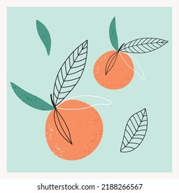 Modern illustration with oranges. Hand drawn abstract orange fruit art. Minimal poster print.