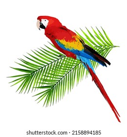 Modern illustration of a parrot on a palm tree branch isolated on a white background. Tropical trendy design. Hawaiian watercolor painting.