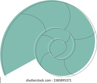 Modern illustration of a snail shell