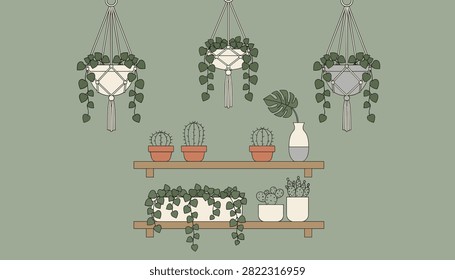 Modern indoor garden display featuring hanging macrame planters and diverse potted green houseplants on shelves.