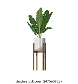 Modern indoor plant in ceramic pot on wooden legs. Houseplant. Isolated domestic tropical plant on white background. Element of home interior decoration. Stock vector illustration.