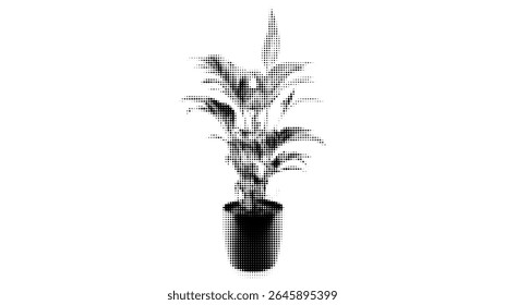 A modern indoor plant sits elegantly in a black pot, bringing a fresh touch to home decor. Perfect for living spaces and offices, this plant adds tranquility and beauty.