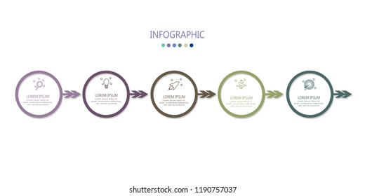 modern infographic timelime with 5 options label design template vector