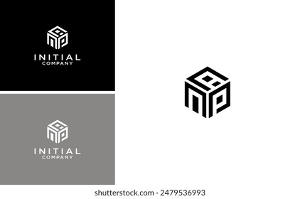 modern initial hexagon NPA or APN logo design vector template