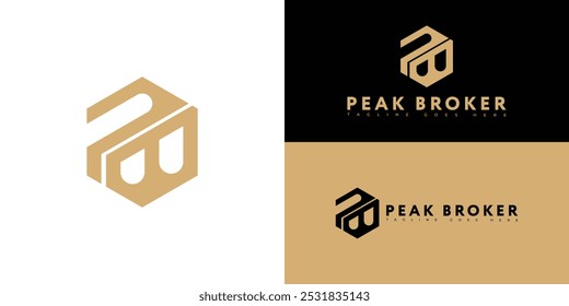 Modern initial hexagon vector letter PB or BP logo in gold color isolated on multiple background colors. The logo is suitable for real estate service company logo design inspiration templates.