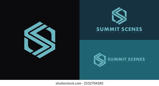 Logotipo de letra S o SS de Vector hexagonal inicial moderno en color azul aislado en múltiples colores de fondo. El logotipo es adecuado para la familia de producción de Plantillas de inspiración de diseño de logotipos de estudios de cine.