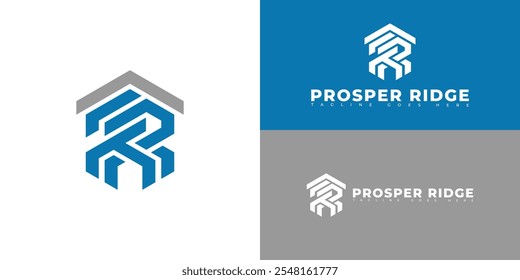Modern initial hexagon vector letter PR or RP logo in silver-blue color isolated on multiple background colors. The logo is suitable for real estate company logo design inspiration templates. 