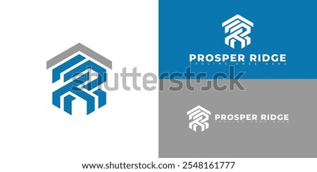 Modern initial hexagon vector letter PR or RP logo in silver-blue color isolated on multiple background colors. The logo is suitable for real estate company logo design inspiration templates. 