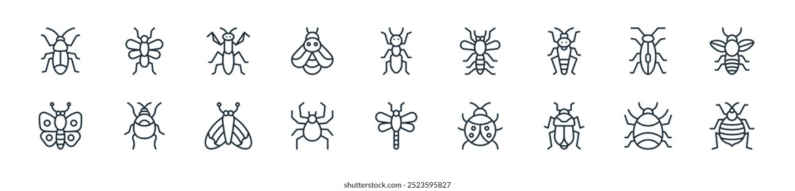 moderno insetos ícone pack. perfeito para projetos de iu linear com vetor percevejo, ácaro, inseto, joaninha, mosca dragão, aranha, mariposa e mais ícones para aplicativos móveis e web.