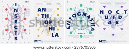 Modern insects posters set. Bug, beetle and butterfly. Minimalistic creativity and art. Biology and fauna, wild life. Leaflet and booklet. Cartoon flat vector collection isolated on white background Foto stock © 