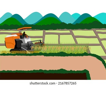 Modern integrated agriculture in rice harvesting.