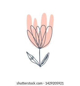 Modern isolated flower art print in scandinavian style. Vector EPS and jpg image, clipart, editable isolated details.
