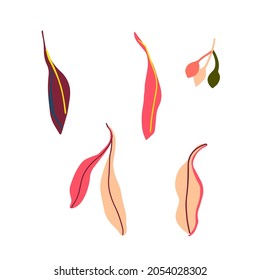 Modern isolated stylised design with abstract colorful eucalyptus leaves. The design is perfect for stickers, decorations, advertisements, product design, badges, cards