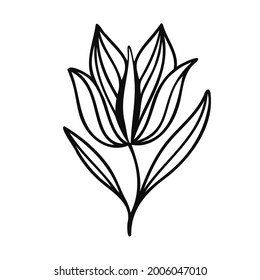 Modern isolated stylized design with abstract black and white flower. Can be used for printing on paper, textiles, backgrounds, wallpapers