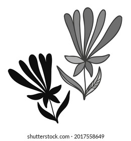 Modern isolated stylized set design with abstract black and white flowers. Can be used for printing on paper, textiles, backgrounds, wallpapers